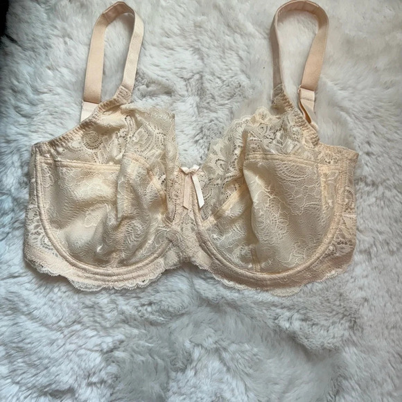 Panache Andorra 5675 Side Support Bra, US Size 30H Pearl Underwire Lace - Picture 7 of 7